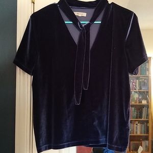Madewell Velvet Blouse
